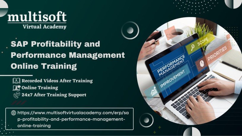 sap-profitability-and-performance-management-online-course-big-0