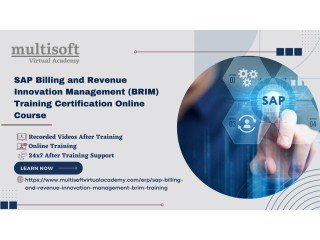 SAP Billing and Revenue Innovation Management (BRIM) Training