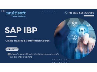 SAP IBP Online Training Certification Course