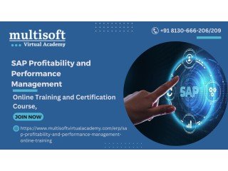 SAP Profitability and Performance Management Online Course in usa