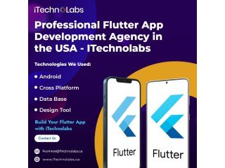 How To Hire a Professional Flutter App Development Company?