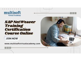 SAP NetWeaver Training Certification Course Online