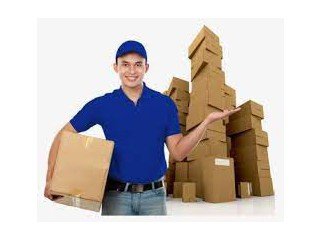 Best Packers And Movers in Lajpat Nagar Delhi, Asian Movers