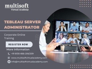 Tebleau Server Administrator Corporate Online Training