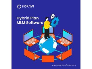 Power of the Hybrid MLM Plan