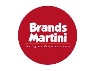 Brandsmartini Best digital marketing agency in Delhi