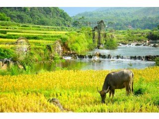 Trip to vietnam and cambodia packages